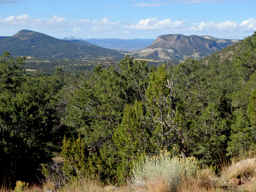 GDMBR: San Mateo Spring to Grants, New Mexico.